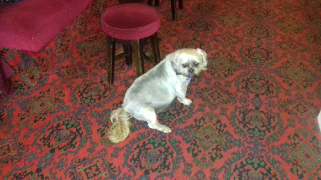 Elmfield Hotel Blackpool Kültér fotó